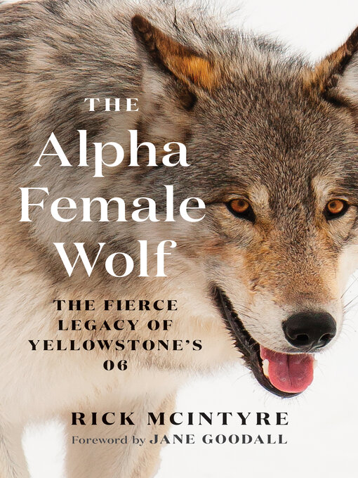 Title details for The Alpha Female Wolf by Rick McIntyre - Available